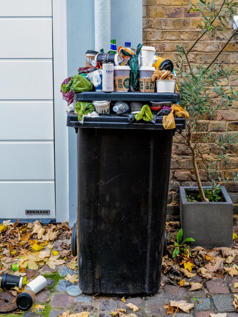 Müll richtig trennen – Was gehört in welche Tonne? – ecosistant